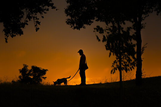 Silueta de hombre paseando perro al atardecer