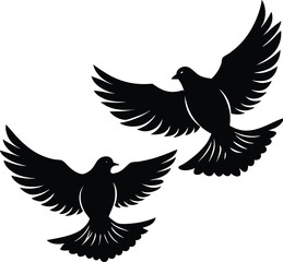 Obraz premium Adobe Illustrator Artwork