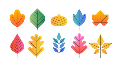 Obraz na płótnie Canvas Collection of geometrical autumn leaves. Colorful botanical icons set.