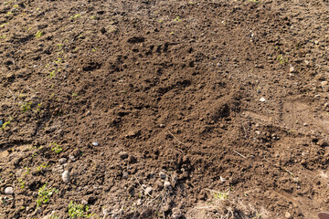cultivated soil in a field, a part of the land that was cultivated and leveled using a garden tool