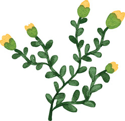 watercolor flower nature plant decorative element for your design