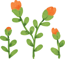 watercolor flower nature plant decorative element for your design