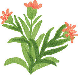 watercolor flower nature plant decorative element for your design