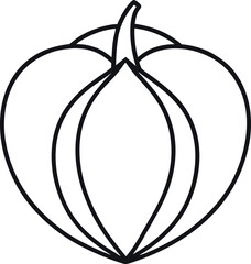 Cape Gooseberry Outline Vector Icon