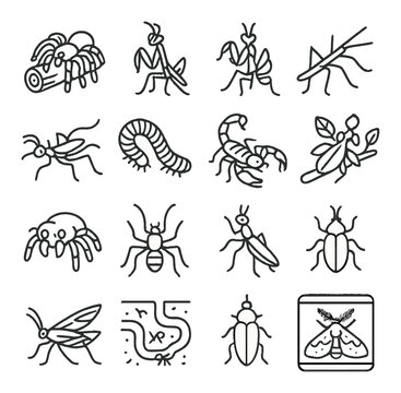 Exotic insect and arachnid pets icons in minimalistic line art : tarantula on log, praying mantis pose, orchid mantis, stick insect crawling, vinegaroon walking, giant millipede, scorpion with