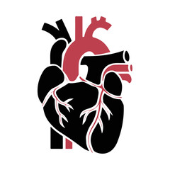 vector illustration of human heart