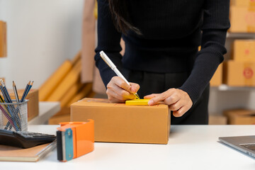 Woman Preparing Package for Shipping