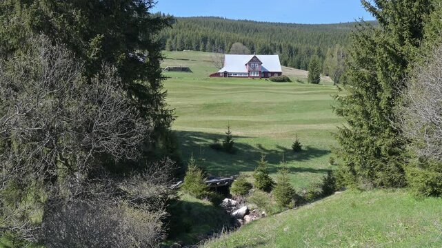 Red Cabin in Czech Mountain Forest - Horni Mala Upa
