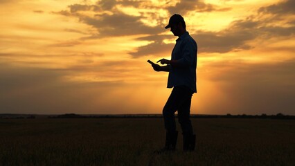 Agricultural business, Farmer works in rubber boots, field with young green sprouts. Worker walks in rubber boots at sunset. Businessman grows food. Grow grain, vegetables. Field, young green shoots