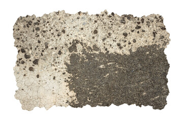 Rough Concrete Wall Texture Frames with Torn Jagged Edges - Urban Grunge Border Isolated on...