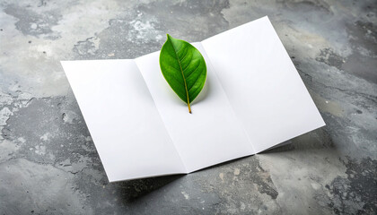 Pristine white trifold brochure elegantly displayed on textured gray surface, featuring vibrant green leaf as natural accent, creating harmonious and fresh aesthetic