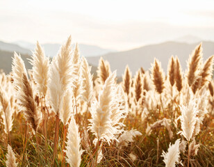Serene landscape featuring sea of soft focus pampas grass, its delicate plumes swaying gently in breeze, illuminated by warm sunlight against backdrop of distant mountains
