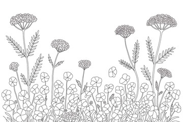 Black and white illustration of wildflowers and plants.
