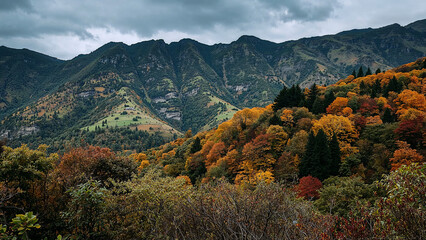 Naklejka premium Vibrant foliage on a lush mountain landscape