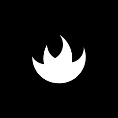 vector fire icon