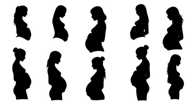 Silhouettes depict the beautiful journey of pregnancy, capturing the anticipation and glow of expectant mothers with grace.