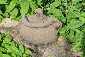 one old gray dirty metal teapot stands on a concrete table among green vegetation on a summer street