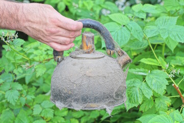 hand holds one old gray dirty metal teapot on summer street against green vegetation background
