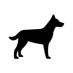 Silhouette of a canine standing with pointed ears and short tail in a simple graphic format