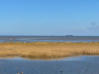 Blick auf das Wattenmeer von Schillig bei Horumersiel, Off-Shore-Windpark, Containerschiff und Leuchtturm Mellumplate, Ostfriesland, Wangerland, Friesland, Nordsee, Niedersachsen