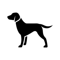 Silhouette of a canine standing with a collar and a short tail on a white background design element