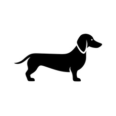 Silhouette graphic of a dachshund standing with a collar on a white background design style image