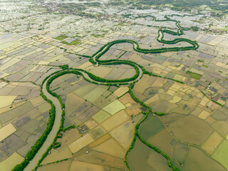 Coastal Fish Farm Patterns
