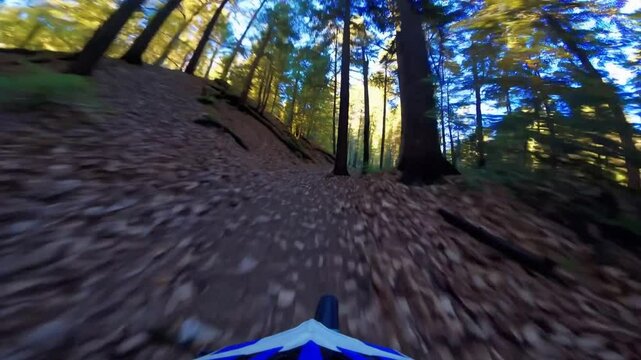 Mountain biking through colorful autumn forest trails with vibrant foliage and challenging terrain