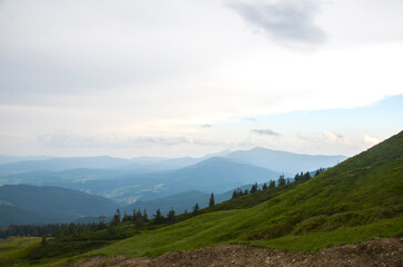 Serene view of a mountainous landscape featuring gentle hill slopes, dense forestry, soft daylight,...