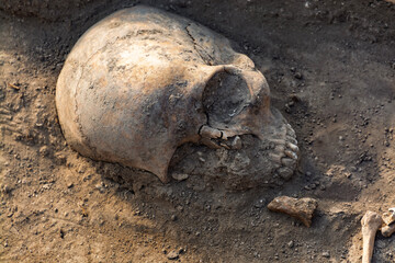 Obraz premium Sceleton in the cemetery of the medieval monastery in Peternmonostora