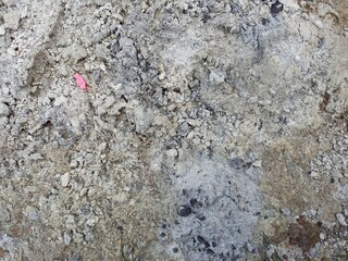 Rough Uneven Ground Texture with Small Stones and Debris