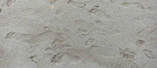 Sandy Beach with Multiple Footprints Texture