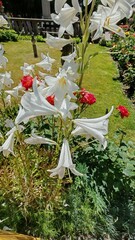 wedding bouquet of flowers