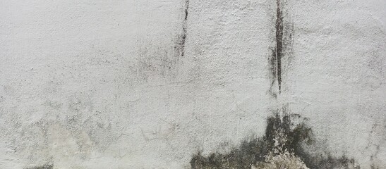 White Concrete Wall with Extensive Black Mold Stains
