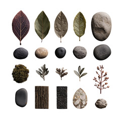 A natural collection of four green leaves and brown nuts on isolated white and black spa stones