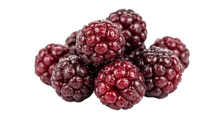 Pile of Tayberries isolated on white background. American food