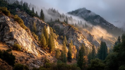 Golden Sunlight Through Foggy Mountain Landscape