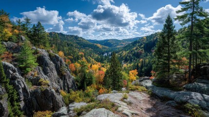Autumnal Valley Landscape with Colorful Trees and Rocks