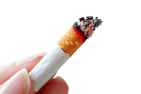 Close-up of a Hand Holding a Burning Cigarette with an Active Ash and Glowing Ember Against a White Background