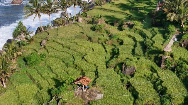 Beautiful Rural Landscape of Java's Southern Coastline

