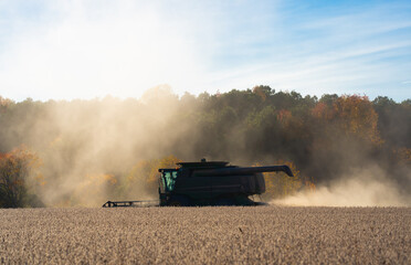 Fototapeta premium Combine harvester in a wheat field. Harvesting on rural farm. Combine harvester machinery. Agricultural Combine harvester at work. Rural landscape with a combine harvester. Work in the wheat fields.