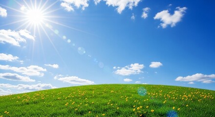 Sunny Green Hill with Yellow Flowers and Blue Sky