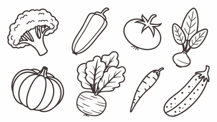 Vibrant Vegetable Illustrations  Hand-Drawn Line Art of Fresh Produce