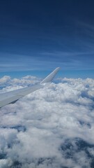 wing of the plane