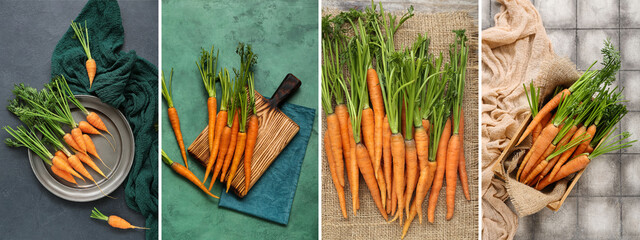 Collage of many ripe carrots
