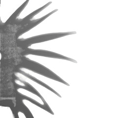 Fototapeta premium Abstract Gray Background with Radial Gradient and Transparent Style