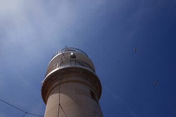 Cap de Tramuntana lighthouse view with tall cylindrical tower from below, against blue sky with seagulls birds soaring on Sa Dragonera island, Balearic Islands. Mediterranean architecture landmark. 