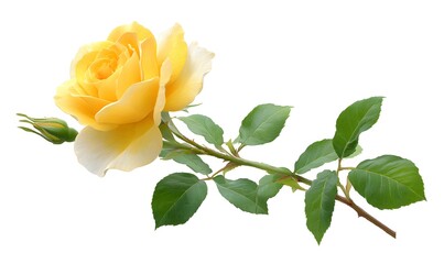 bright yellow rose, generation AI 