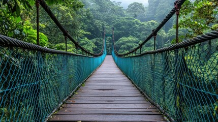 Lush jungle suspension bridge