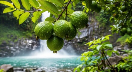 Lush tropical rainforest with cascading waterfall and ripe green fruit on a branch
